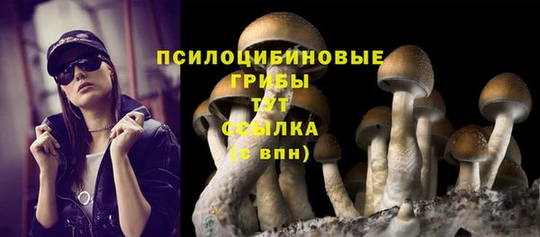 ECSTASY Белокуриха