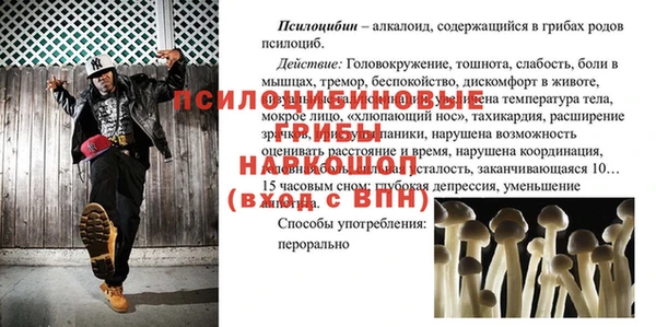 PSILOCYBIN Богородск